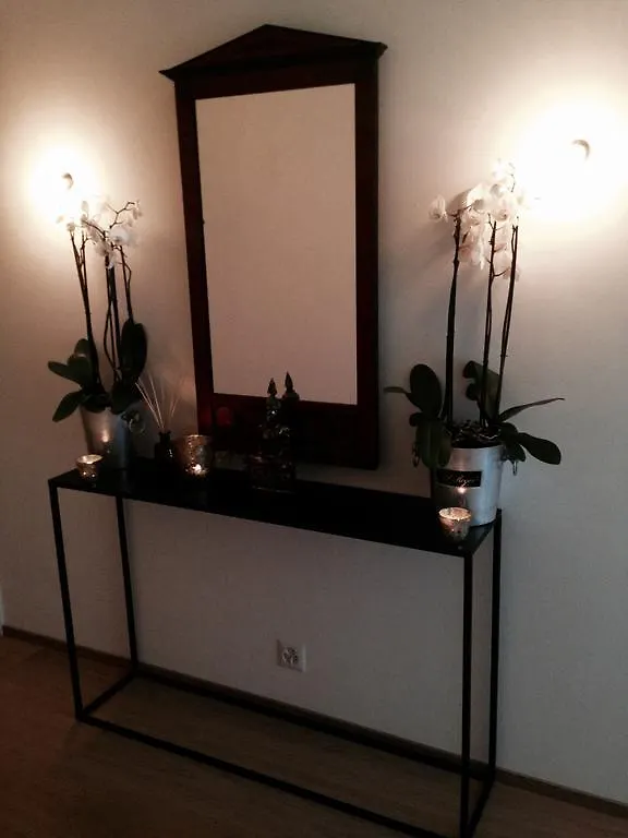 Avliving City Room Basilea Bed and breakfast